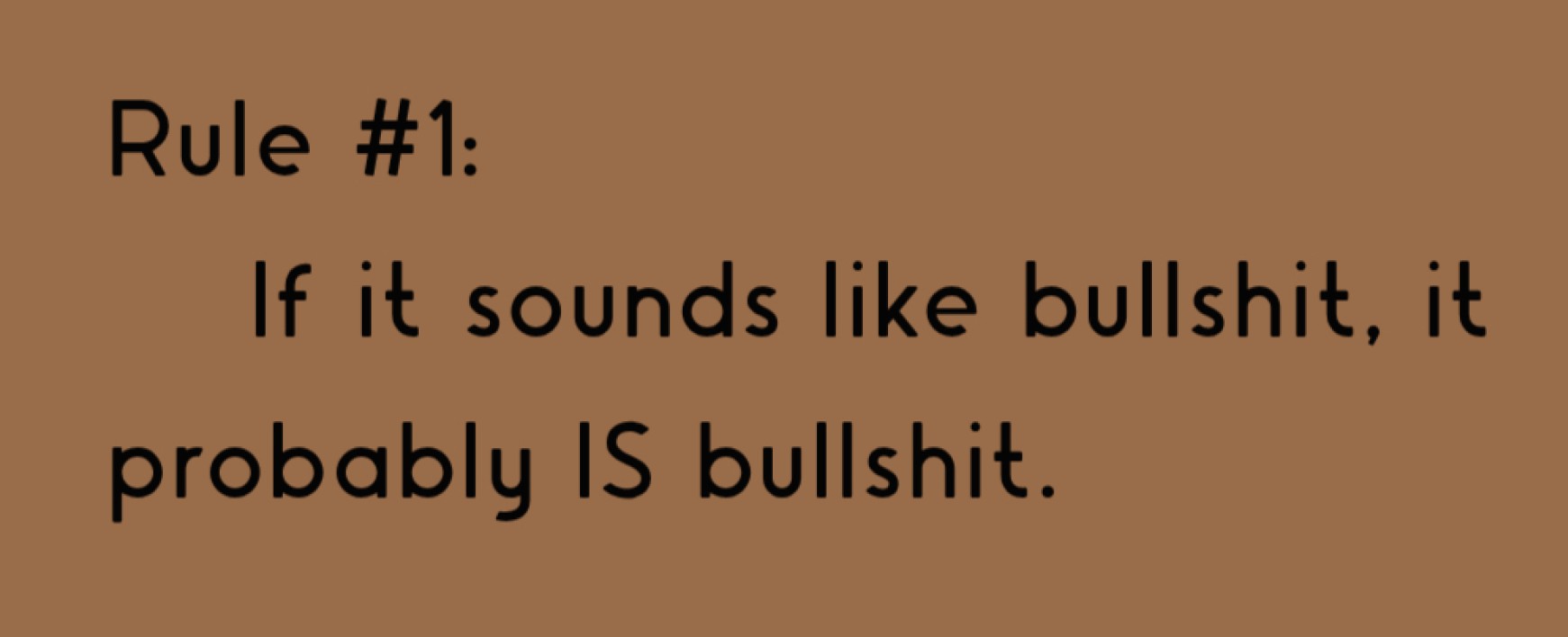 Bullshit